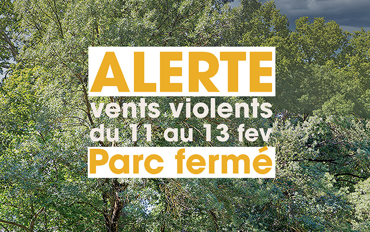 Alerte météo - Vents violents - Prudence
