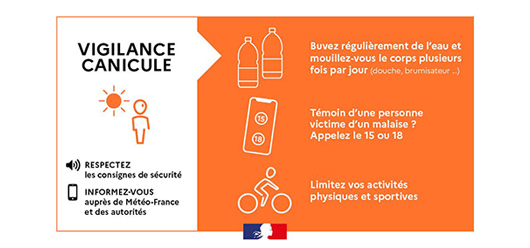 Vigilence orange