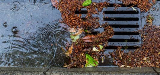 Feuilles mortes : un geste simple pour éviter les débordements