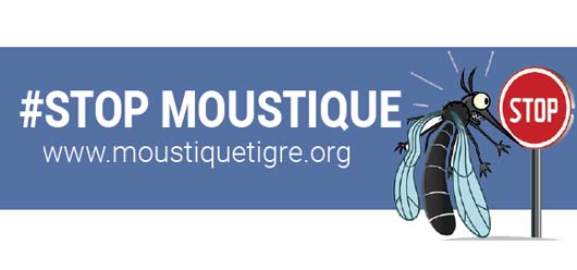 La lutte contre la prolifération du moustique tigre est l’affaire de tous !