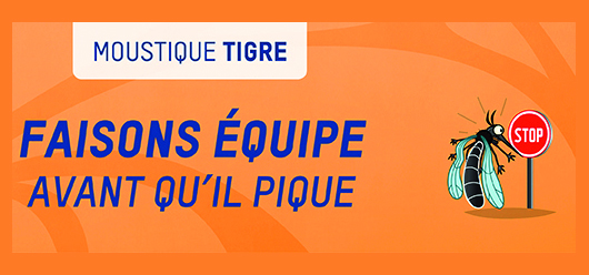Moustique tigre