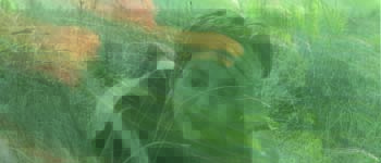 Laissez-moi rêver : une expo photo vers un autre monde