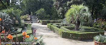 Découvrez les trésors du plus ancien Jardin des Plantes de France