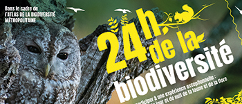 Les 24 h de la biodiversité à Clapiers