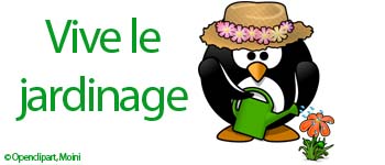 Troc de boutures à la médiathèque