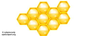 À la découverte des abeilles de Clapiers