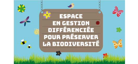 De nouvelles pratiques  pour une gestion écologique de nos espaces végétalisés