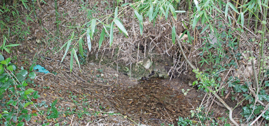 La fontaine de Reganhas